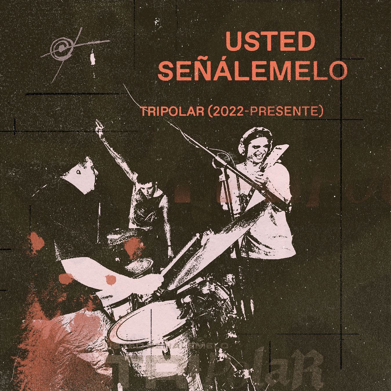 Cardinal Sur — Usted Señálemelo